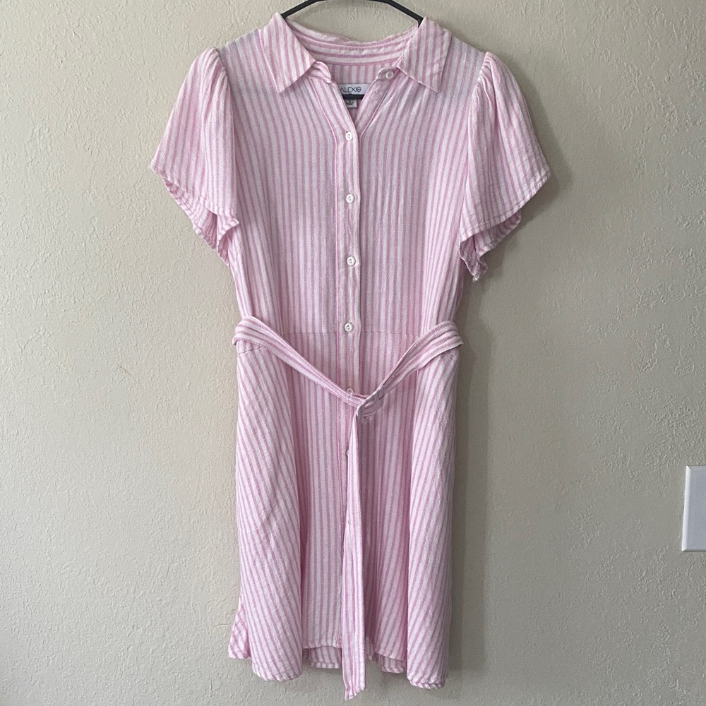 Alexis Pink and White Striped Button Mini Dress - Picture 4 of 14